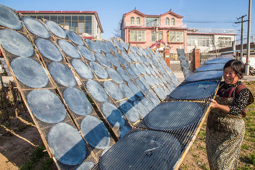 見過傳統(tǒng)技法做粉皮嗎？隨鏡頭走進豫東農村看看吧