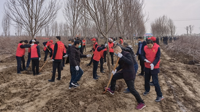 栽下樹苗，留下新綠