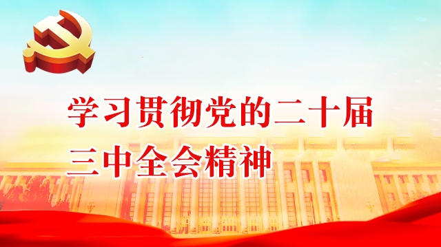學(xué)習(xí)貫徹黨的二十屆三中全會精神