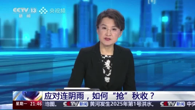 【主流媒體看周口】面對連陰雨 如何“搶”秋收？
