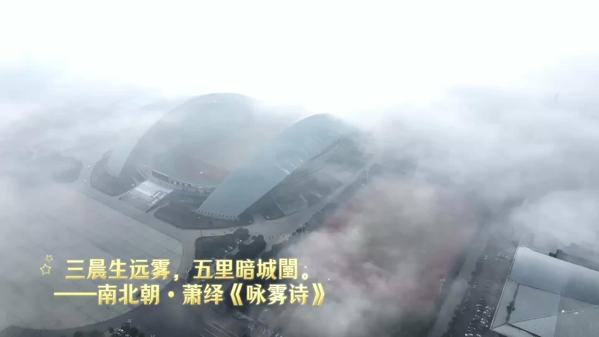 【人文周口】霧鎖港城 詩意周口